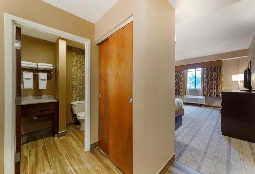 キングサイズベッドのデラックスルーム, Best Western Plus Miami Executive Airport Hotel And Suites