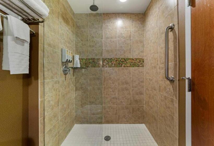 キングサイズベッドのスタンダードルーム, Best Western Plus Miami Executive Airport Hotel And Suites
