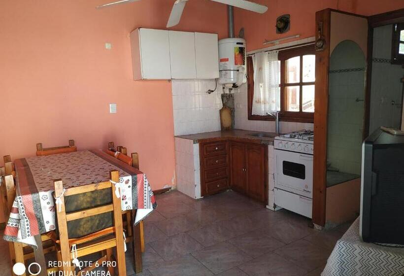 Apartamento 1 Dormitório com Terraço, Danes