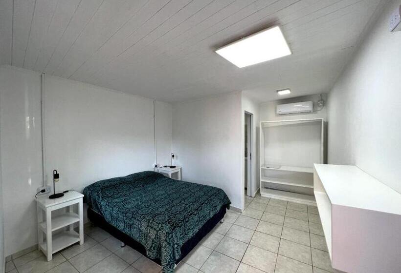 Номер Стандарт, Steve S House
