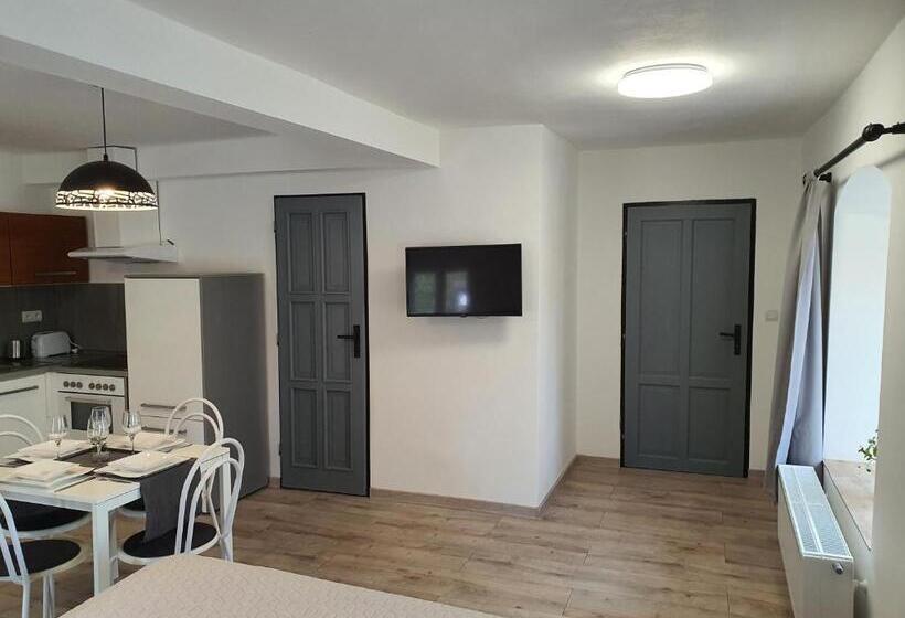 家庭套房, Apartmány černý Kohout