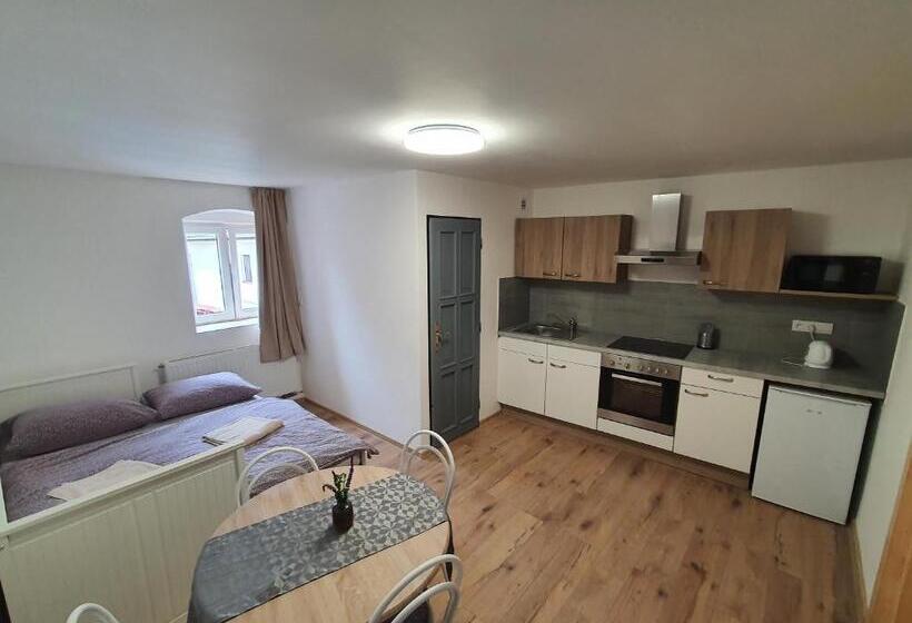带1个卧室的豪华公寓, Apartmány černý Kohout
