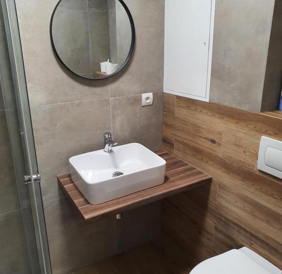 小型豪华套房, Apartmány černý Kohout