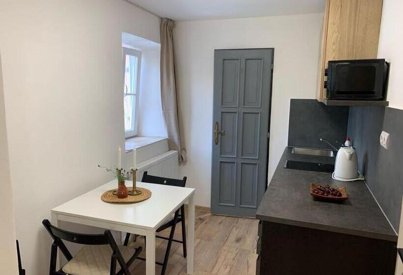 小型豪华套房, Apartmány černý Kohout