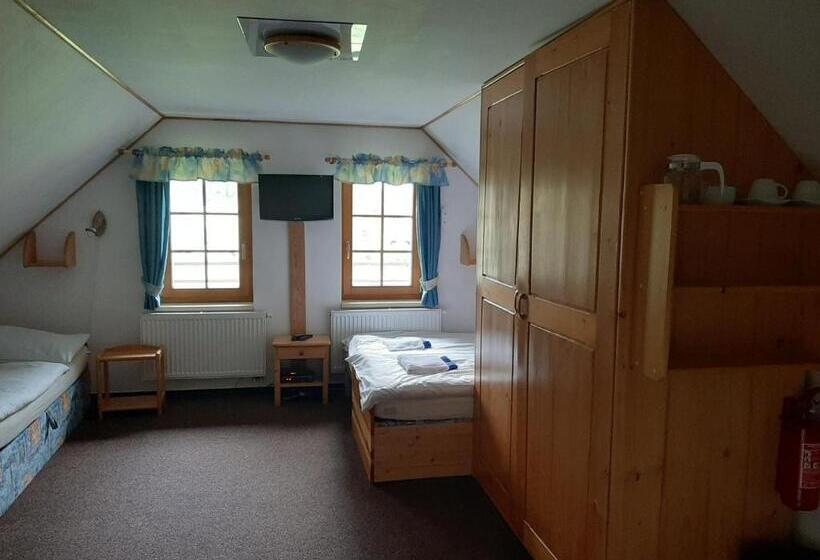 Economy Quadruple Room, Penzion Sehnoutkovi
