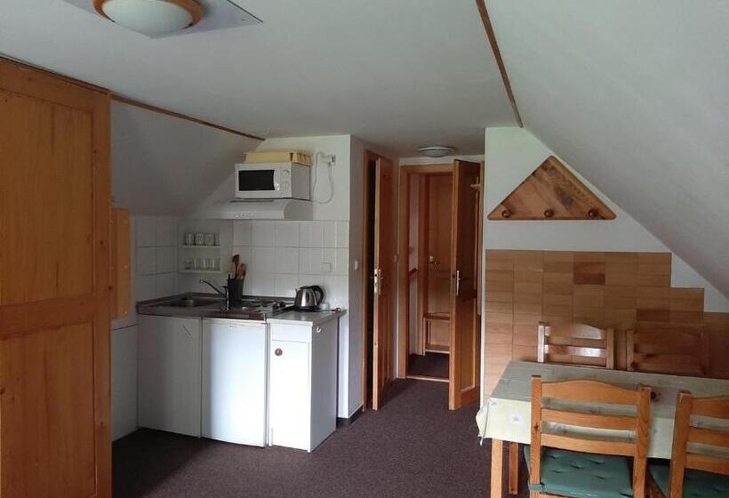 Economy Quadruple Room, Penzion Sehnoutkovi