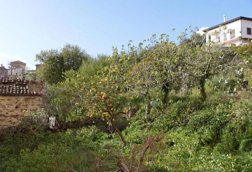 Номер Economy, Cilento Suite   Louis Xxii