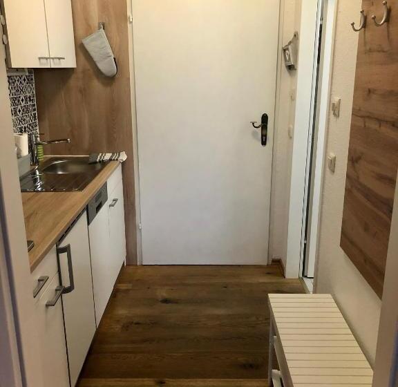 آپارتمان لوکس 1 خوابه, Apartment Goisernperle