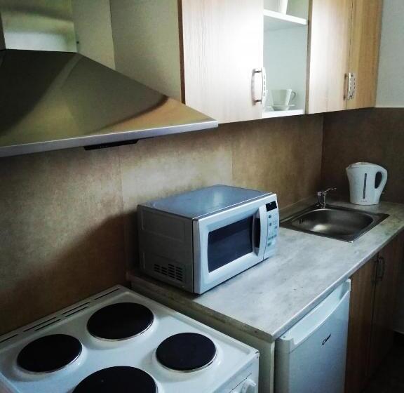 آپارتمان لوکس 1 خوابه, Apartmány U Stříbrných