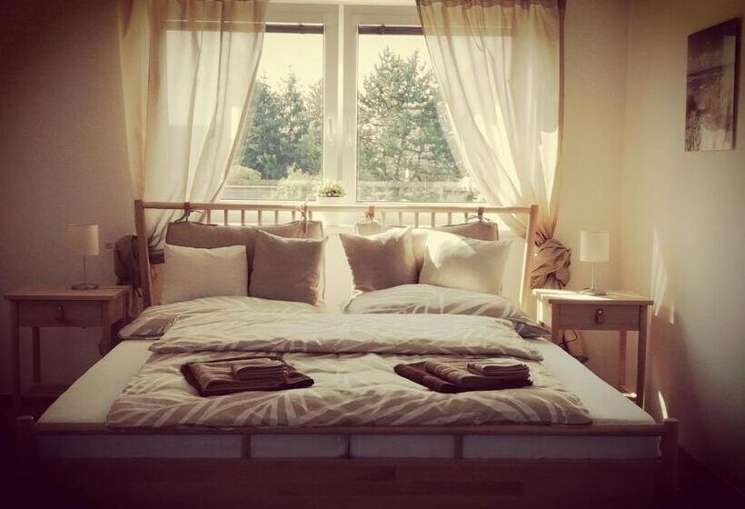 آپارتمان لوکس 1 خوابه, Apartmány U Stříbrných
