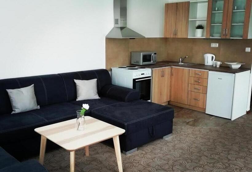 آپارتمان 1 خوابه, Apartmány U Stříbrných