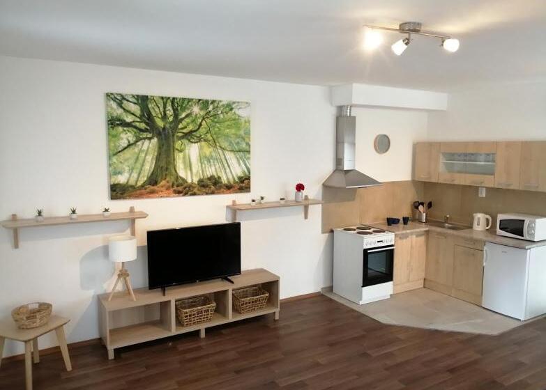 آپارتمان 1 خوابه همکف, Apartmány U Stříbrných