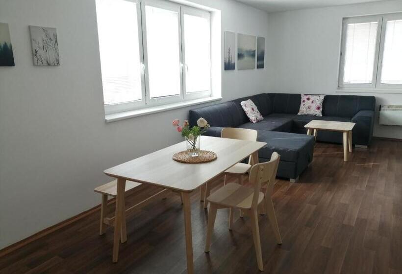 آپارتمان 1 خوابه با بالکن, Apartmány U Stříbrných