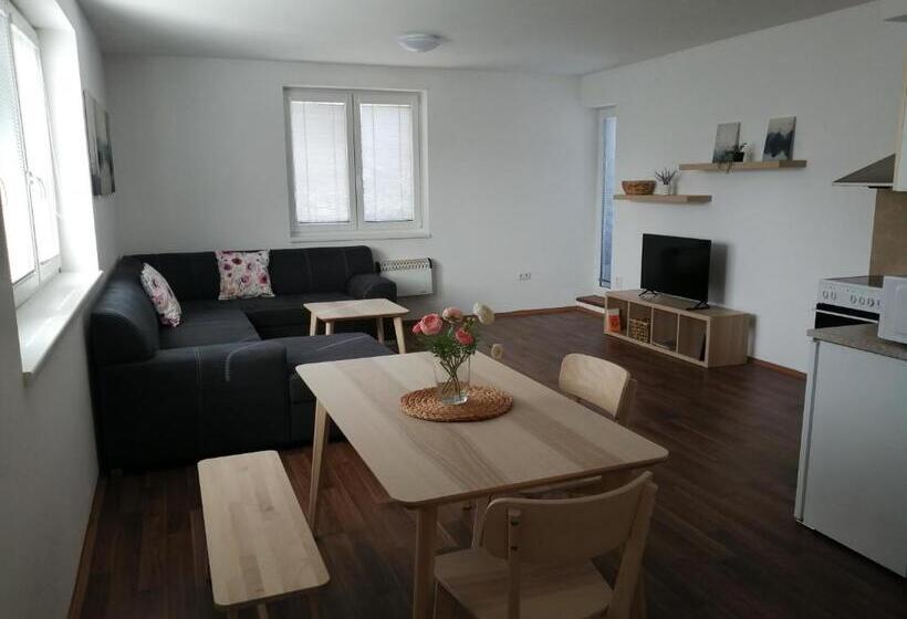 آپارتمان 1 خوابه با بالکن, Apartmány U Stříbrných