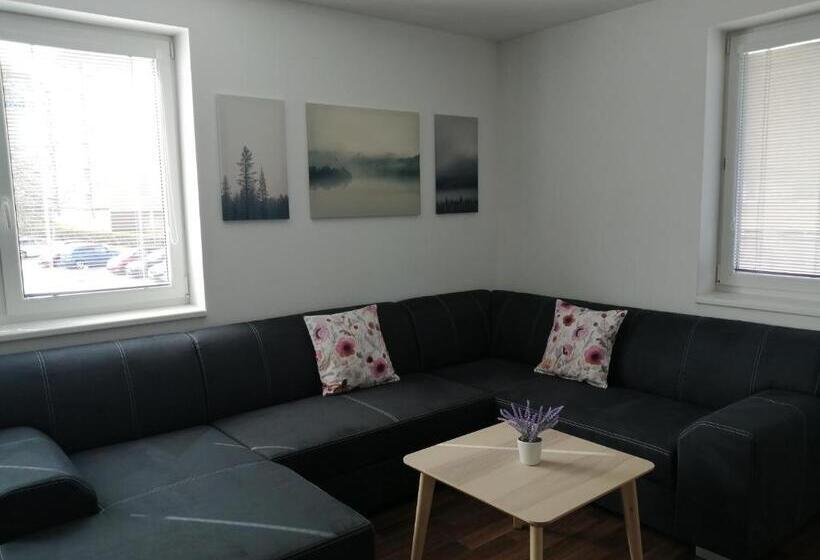 آپارتمان 1 خوابه با بالکن, Apartmány U Stříbrných