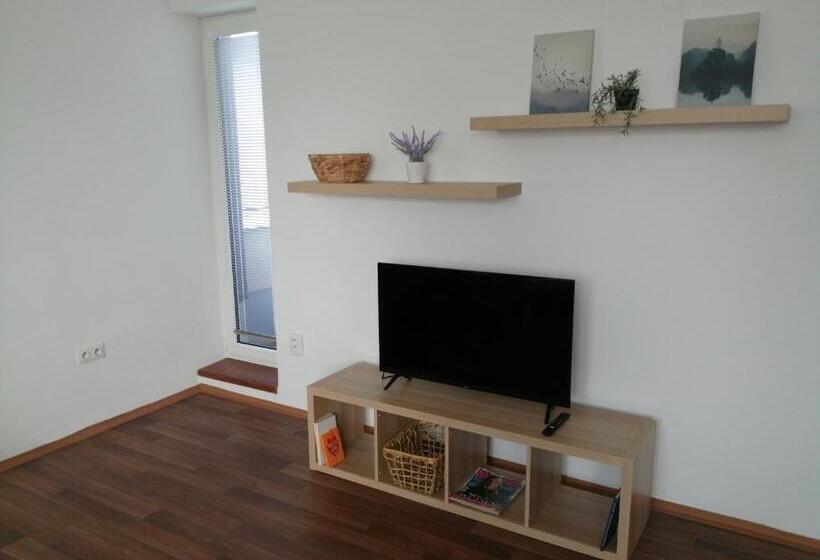 آپارتمان 1 خوابه با بالکن, Apartmány U Stříbrných