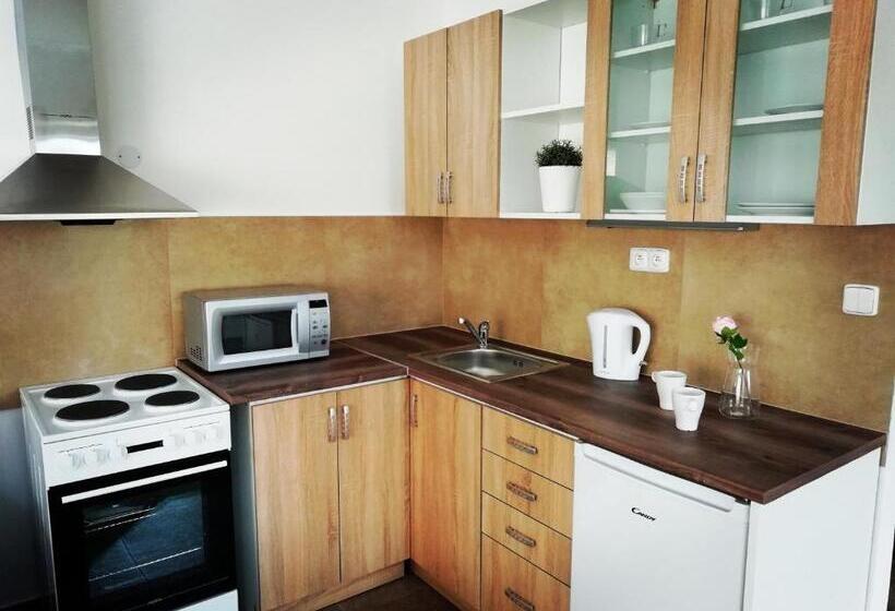 آپارتمان 1 خوابه با بالکن, Apartmány U Stříbrných