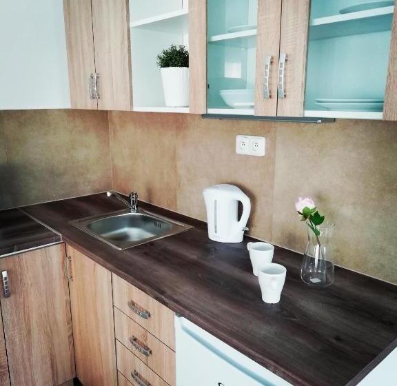 آپارتمان 1 خوابه, Apartmány U Stříbrných