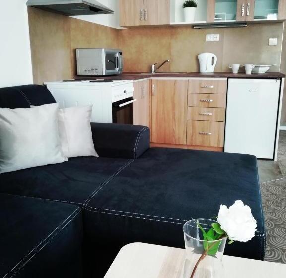 آپارتمان 1 خوابه, Apartmány U Stříbrných