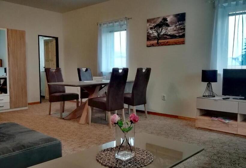 آپارتمان 1 خوابه, Apartmány U Stříbrných