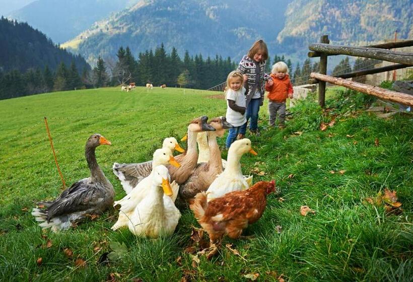 سوییت با چشم‌انداز باغ, Tourist Farm Kladje