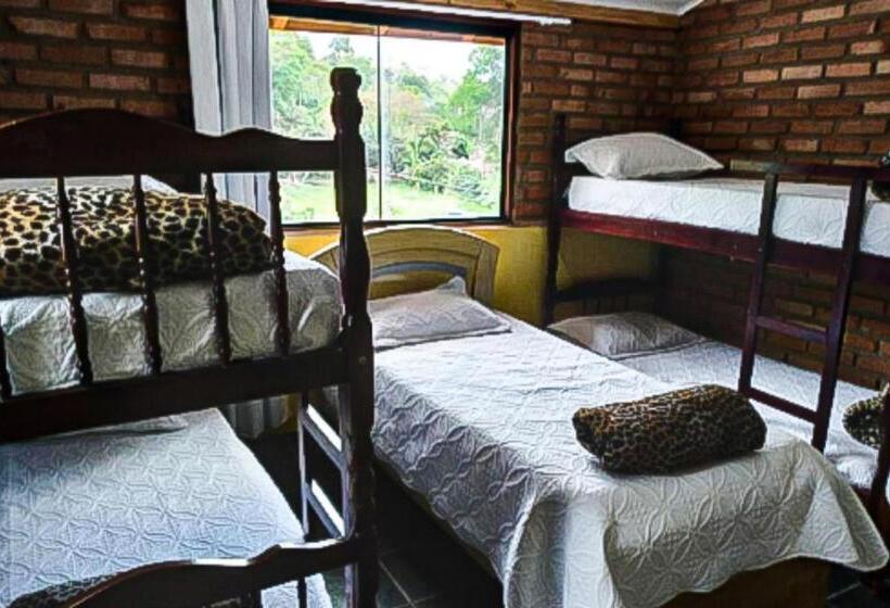 Кровать в Общей Комнате, Hostel Yellow House Mg
