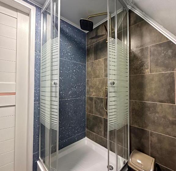 Economy Zimmer, карпатська ніч