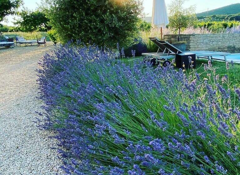Номер Стандарт, Maison D Hôtes Bastide St Victor à 2,5 Kilomètres De Lourmarin