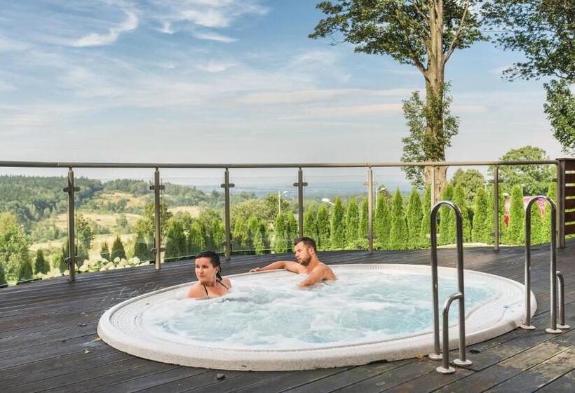 اتاق استاندارد یک نفره, Malinowy Dwór Hotel Medical Spa