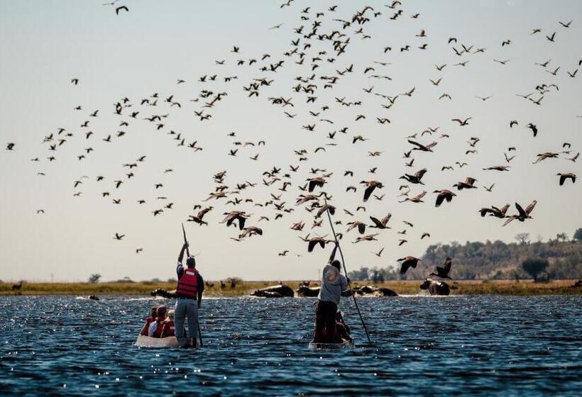 سوئیت با بالکن, Chobe Marina Lodge