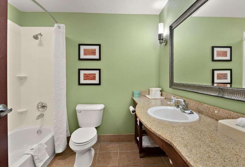 Suite Letto King, Comfort Inn New Orleans Airport South