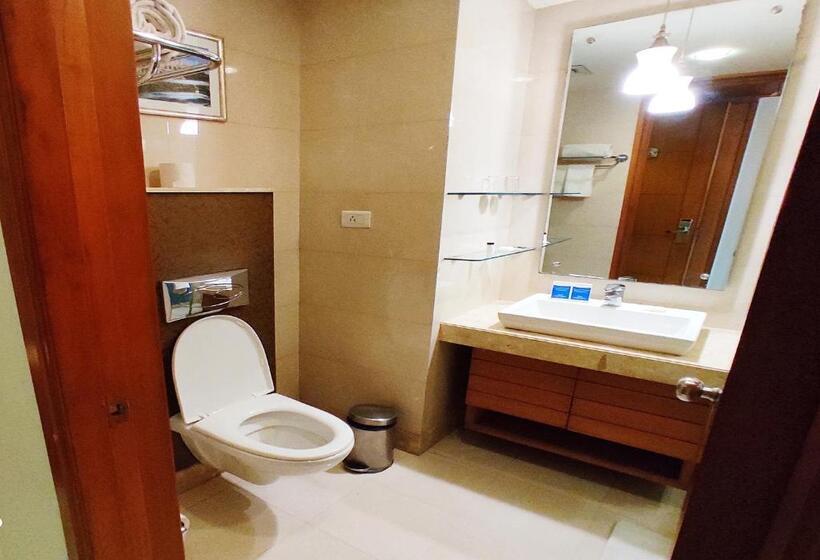 高级大房间, Ambrosia Sarovar Portico