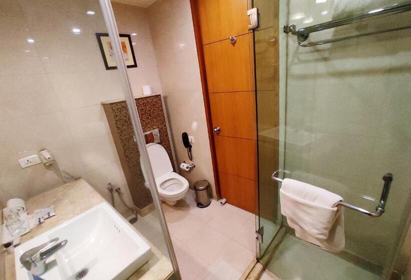 高级大房间, Ambrosia Sarovar Portico