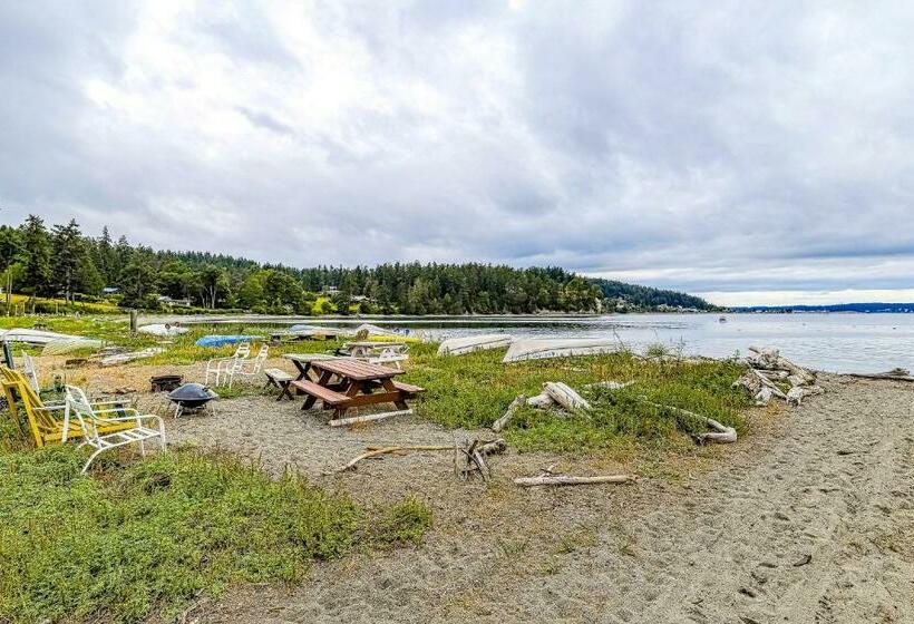 Студия Стандарт, Osprey Nest