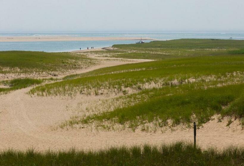 Студия Стандарт, Provincetown Paradise