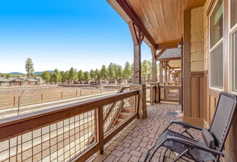استودیوی استاندارد, Hideaway In The Sun