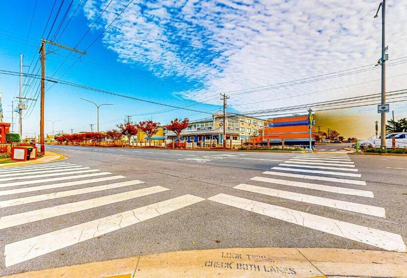 Апартаменты 1 Спальня, Town Of Dewey Beach    The Opal #306s