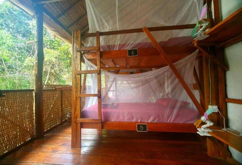 تختخواب در اتاق مشترک, Kamaku Bungalows