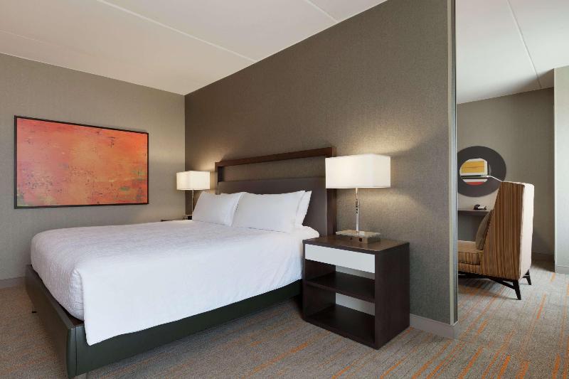 Люкс Кровать Кинг, Hilton Garden Inn Rochester/university & Medical Center