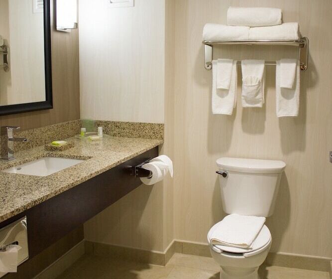 اتاق استاندارد, Holiday Inn Hotel & Suites Hermosillo Aeropuerto, An Ihg