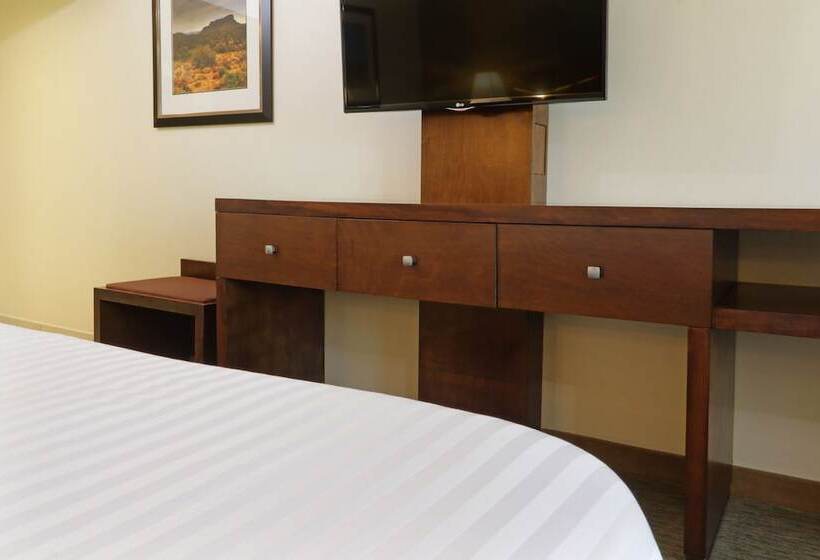 اتاق استاندارد, Holiday Inn Hotel & Suites Hermosillo Aeropuerto, An Ihg