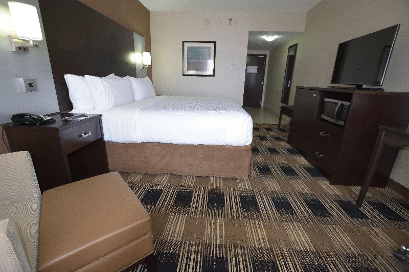 身障者適用キングサイズベッドルーム, Holiday Inn Express & Suites Ottawa East Orleans, An Ihg