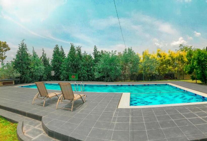 اتاق لوکس با چشم‌انداز باغ, Indah Palace Tawangmangu