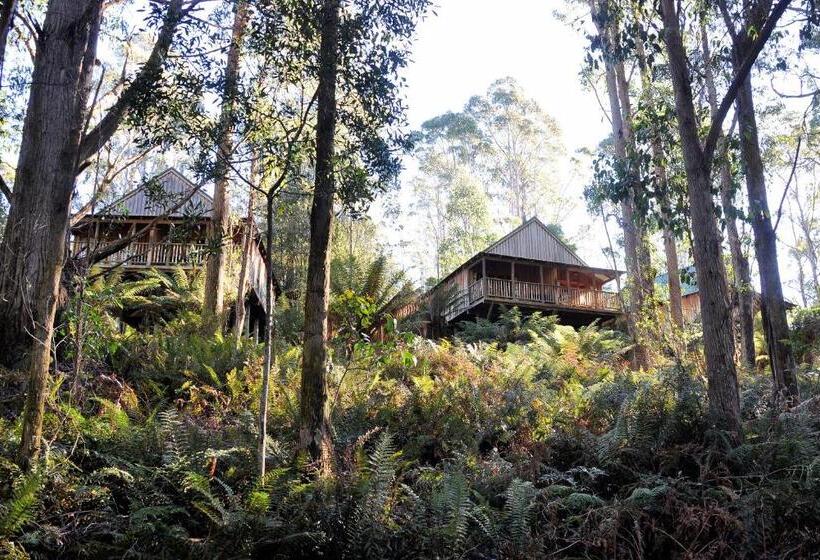 샬레, Lemonthyme Wilderness Retreat
