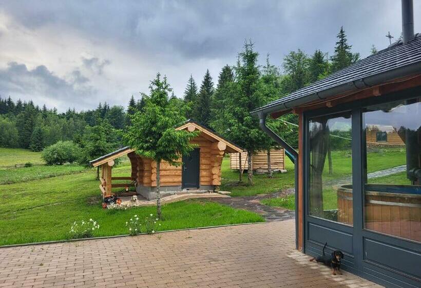 Дом 4 Спальни, Harghita Log Houses