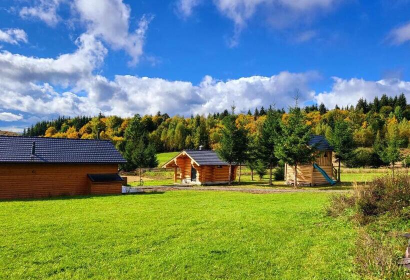 Дом 4 Спальни, Harghita Log Houses