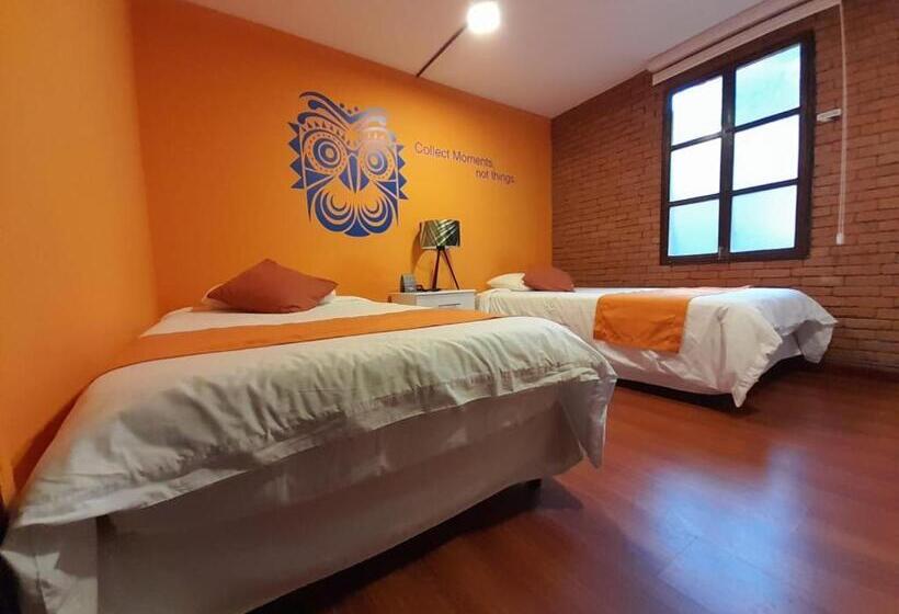اتاق لوکس یک تخته, 593 Hotel Boutique Baños