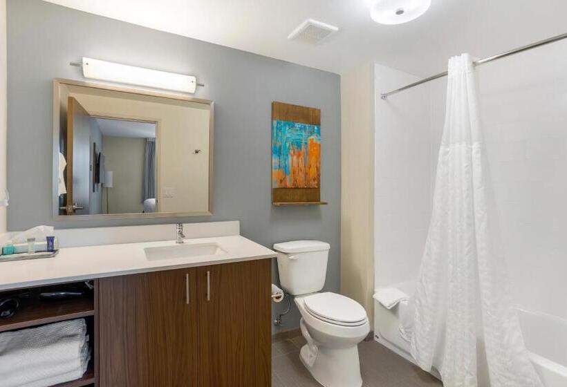 适合残疾人士使用的套间, Mainstay Suites North  Central York