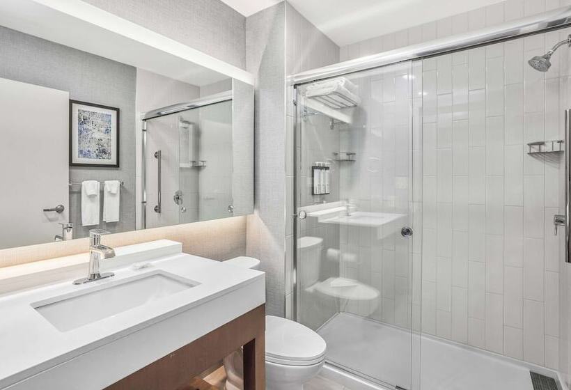 Quarto Standard Andar Superior, Hyatt Place Houston Medical Center
