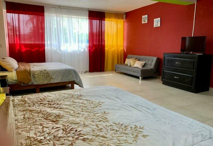 اتاق استاندارد, Boutique Cvc